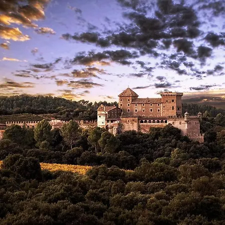 Castell De Riudabella *