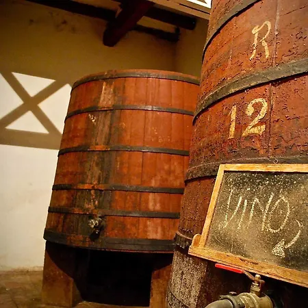 Castell De Riudabella 公寓 *