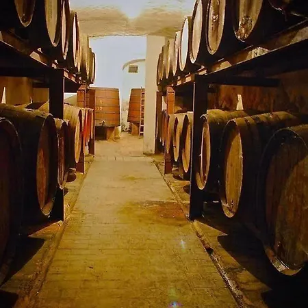 Appartement Castell De Riudabella Vimbodi I Poblet