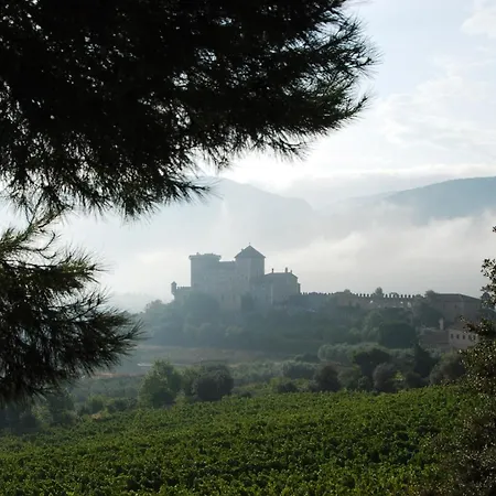 Castell De Riudabella Apartamento Vimbodi I Poblet