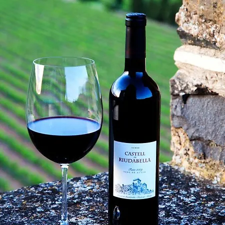 Castell De Riudabella * Vimbodi I Poblet