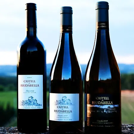 Castell De Riudabella * Vimbodi I Poblet