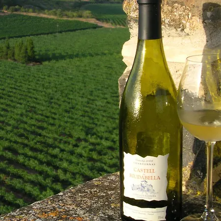 Castell De Riudabella Apartamento Vimbodi I Poblet