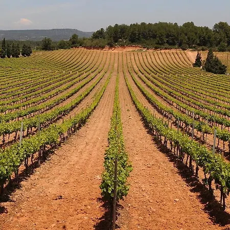 Castell De Riudabella Apartamento Vimbodi I Poblet