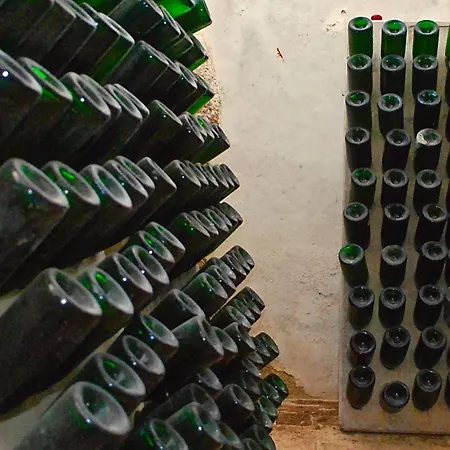 דירה Castell De Riudabella